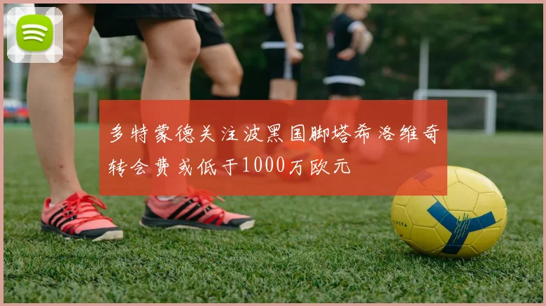 多特蒙德关注波黑国脚塔希洛维奇转会费或低于1000万欧元